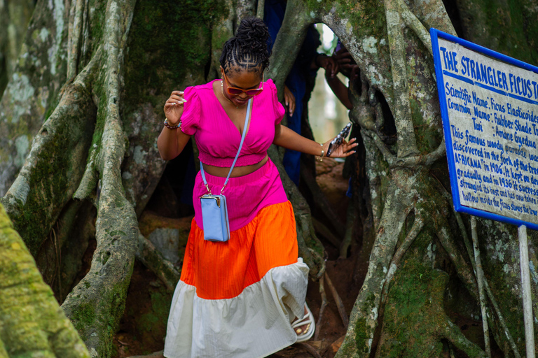 Accra: Giardino Botanico di Aburi, Fattoria del Cacao e Cascata ...