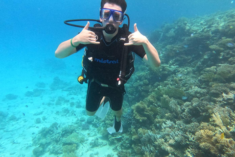 Hurghada: Beginner Diving Trip with Lunch, Transfer & Gear Boat Cruise with 2 Snorkeling Sites with Lunch & Transfer