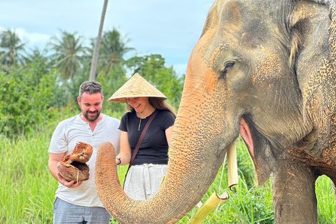 Koh Samui: Ethical Elephant Home Guided Tour with Transfers