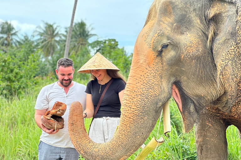 Koh Samui: Ethical Elephant Home Guided Tour with Transfers