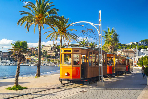 All of Mallorca: Exclusive Experience in an Intimate Group (12 people max.)