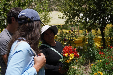 La Paz Flowers Valley Tour: ATV & Community Experience