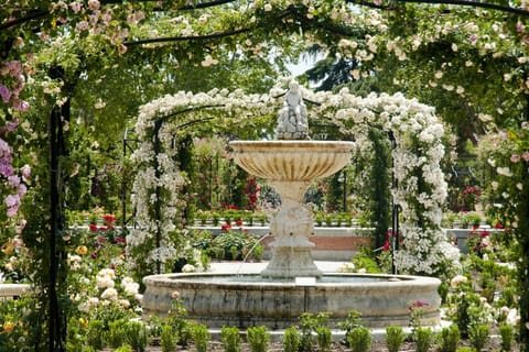 Madrid: Private Retiro Park Tour With Local Guide