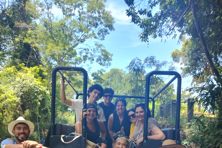 4x4 Tijuca National park - Rio de Janeiro