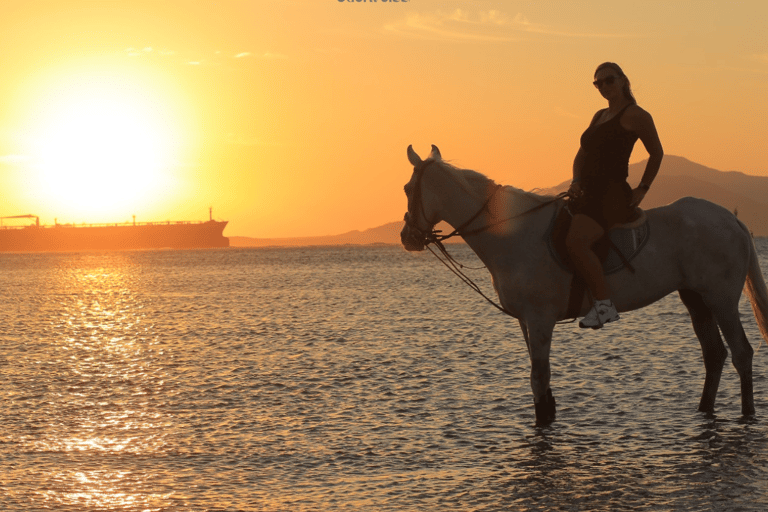 Visite de Sharm El shiekh Beach & Desert Horse Riding TourCircuit de 2 heures à cheval sur la plage et dans le désert