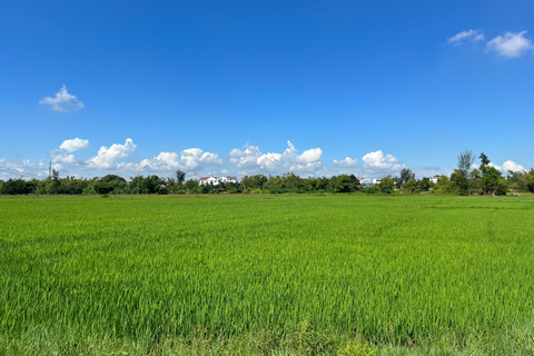 Funny day Biking, Farming, Buffalo riding and Basket boat private tour for solo traveler from Da Nang with transfer