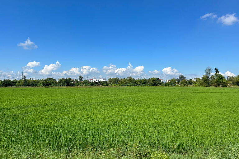 Funny day Biking, Farming, Buffalo riding and Basket boat private tour for solo traveler from Da Nang with transfer