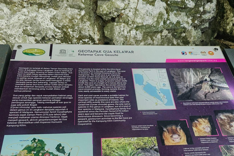 Langkawi: 3-Hour Shared Kilim Geoforest Mangrove Boat Tour