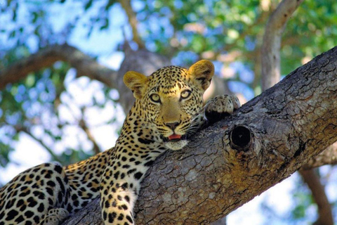 3 Days Tsavo East National Park safari from Nairobi 3 Days Tsavo East National Park