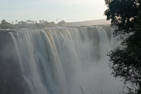 2-Day Falls Tour & Hwange National Park Adventure French 2-Day Falls Tour & Hwange National Park Adventure