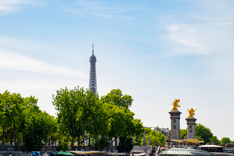 Paris: Full-Day Custom Tour with Local Guide Full-Day Custom Tour with Private Car