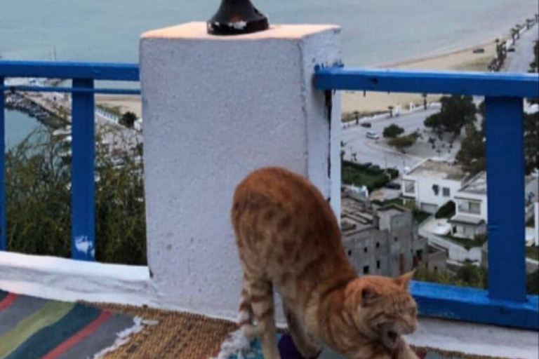 Tunis VIP Tour: Comfort, Fun & Best Value All-in-One !! Tunis : WITHOUT Pick-Up WITHOUT inclusions (Not Recommended)