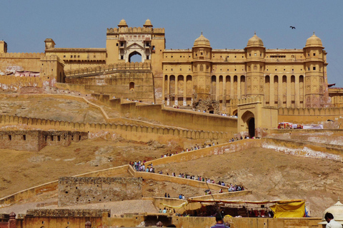 2-Day Pushkar &amp; Jaipur Tour from Delhi: Heritage AwaitsAll-Inclusive tour