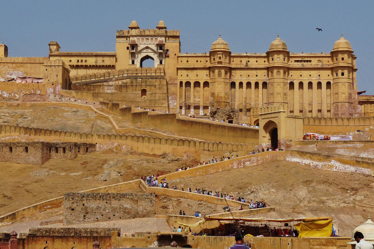 2-Day Jaipur & Sariska Heritage and Wildlife Tour from Delhi Tour without Accommodation