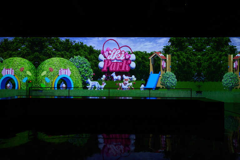 Paju: Museum HEI Immersive Media Art Exhibition Entry Ticket