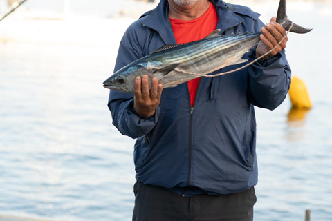 tour de navegacion en yate a vela por las costas de chile