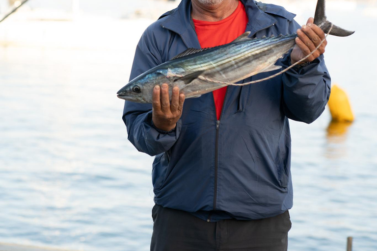 sailing yacht tour along the chilean coastline