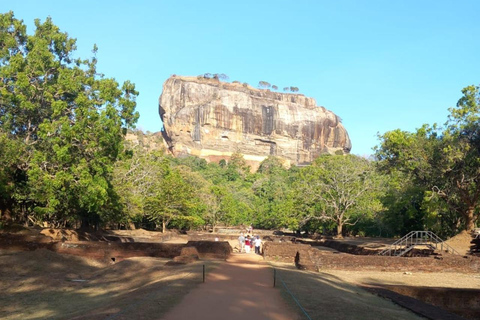 From Sigiriya: Dambulla, Spice Garden, and Kandy Day Trip