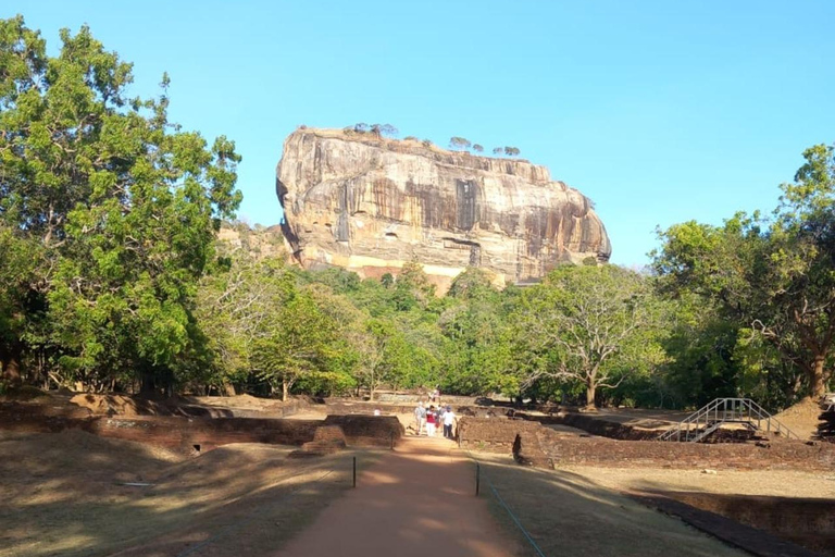 From Sigiriya: Dambulla, Spice Garden, and Kandy Day Trip