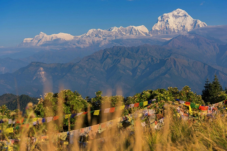 Pokhara: Poon Hill Culture Trek & Village Homestays (4-Day)
