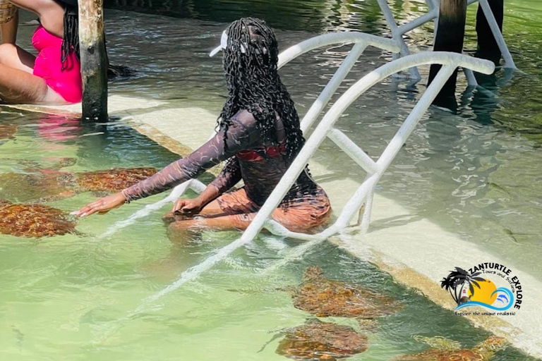 Nungwi: Swimming with Turtles at The Lagoons Zanzibar Hotel Transfers within Nungwi and Kendwa