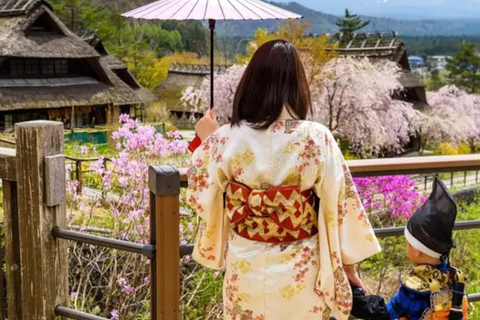 From Tokyo/Yokohama: Mt. Fuji & Tea Ceremony Private Tour