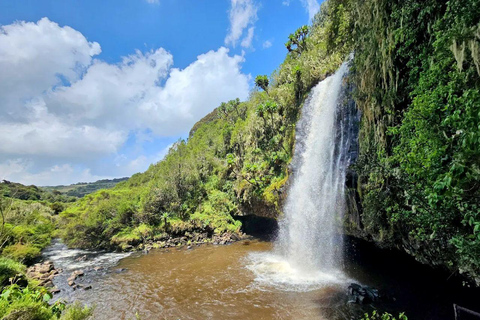 Nairobi: Overnight Adventure in Aberdare National Park