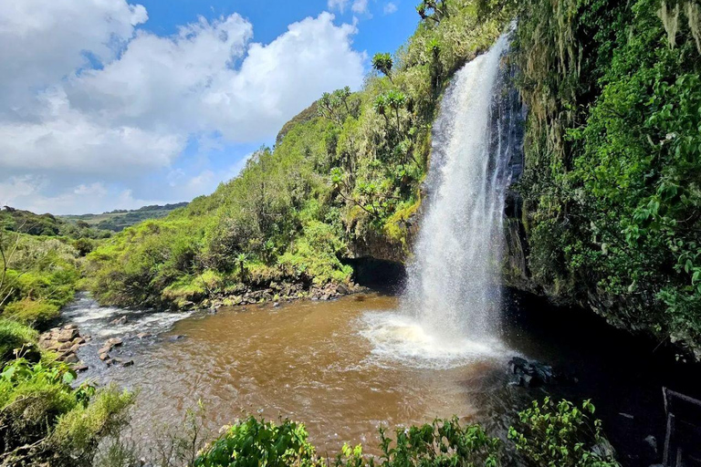 Nairobi: Overnight Adventure in Aberdare National Park