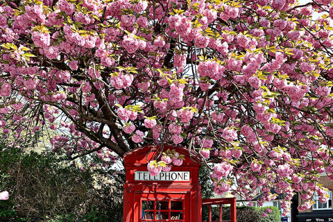 Southampton Cruise Port Transfer to London with Tour