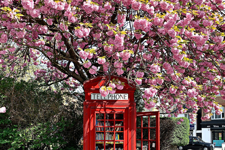 Southampton Cruise Port Transfer to London with Tour