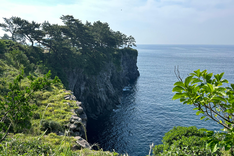 Jeju Sud: Tour di un giorno con guarigione dell&#039;UNESCO per piccoli gruppi