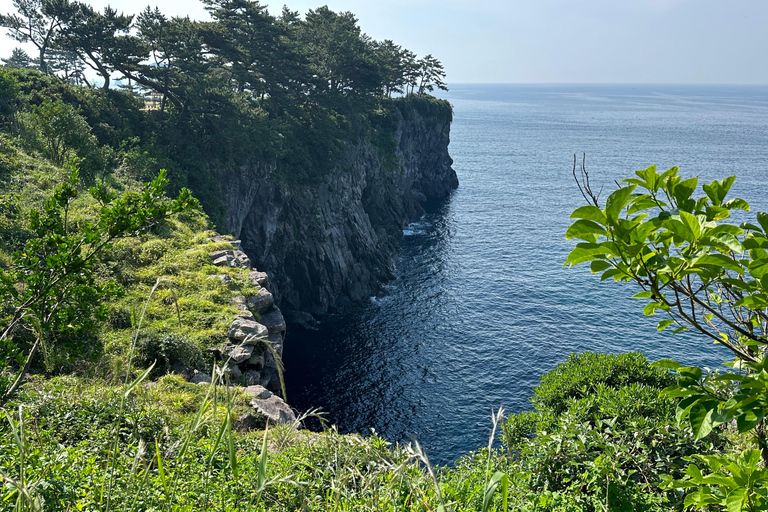 Jeju Sur: Curación UNESCO Tour en grupo reducido de un día