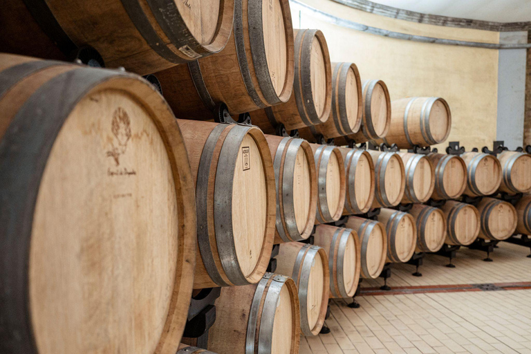 Abbey Tour, Wine Tasting and Light Lunch near Pisa English