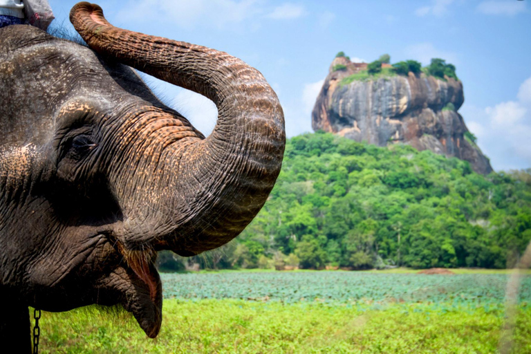 Colombo: 12 días en un viaje todo incluido fuera de lo común