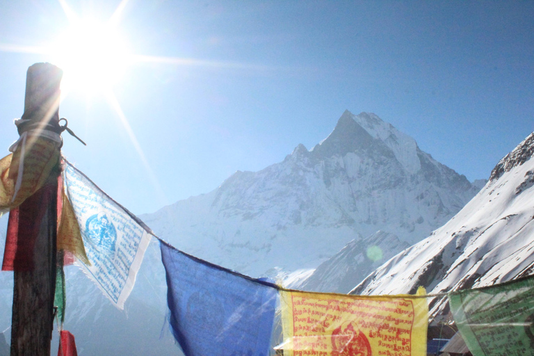 Pokhara: Trekking de 6 días al campamento base del Annapurna con guía