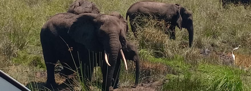 Maputo : safari au parc national de Maputo et visite de la plage
