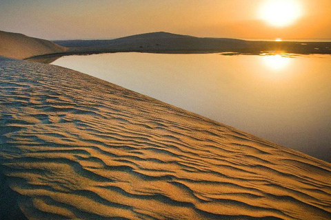 Doha: Safari privato della città e del deserto con giro in cammello