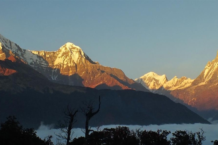 Vanuit Pokhara: Verbazingwekkende 3-daagse Mulde View Point Trek