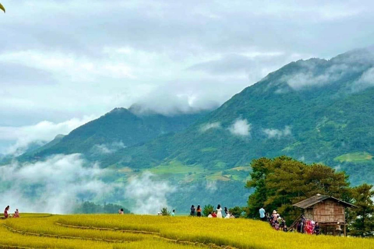 Mu Cang Chai 2 Days Tour Trekking Terraced Rice Field