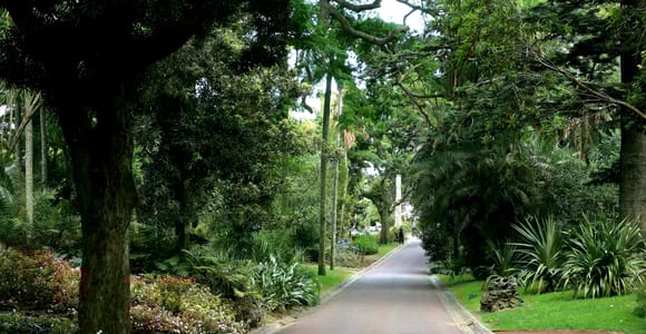 São Miguel: Botanischer Garten und Höhlentour