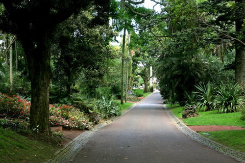 São Miguel: Botanical Gardens and Cave Tour