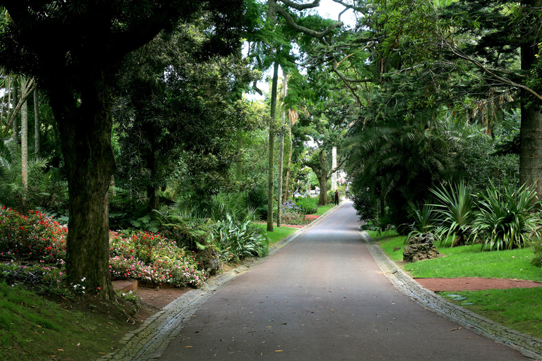 São Miguel: Botanical Gardens and Cave Tour