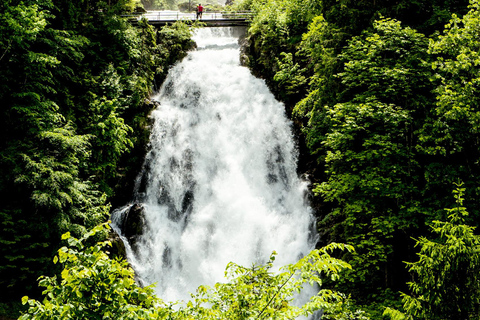 Interlaken: E-Bike Rental Interlaken: E-Bike Rental
