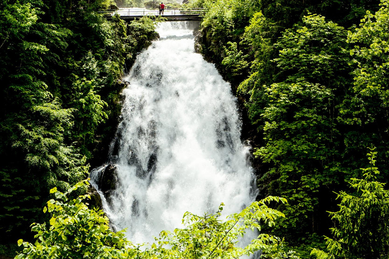 Interlaken: E-Bike Rental Interlaken: E-Bike Rental