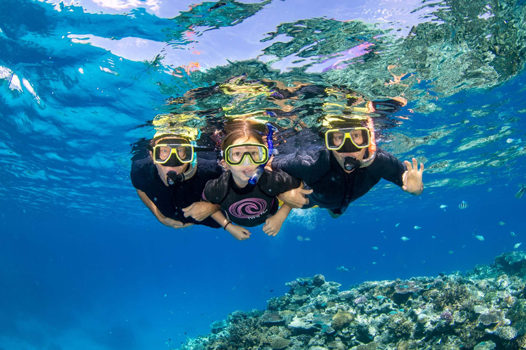 Cairns: Great Barrier Reef Snorkeling Tour with Lunch