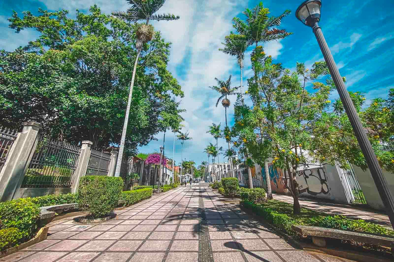 Tour de la ciudad + Cena en el mejor mirador de San José