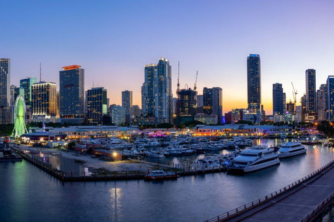 Miami: Private Night Lights Tour