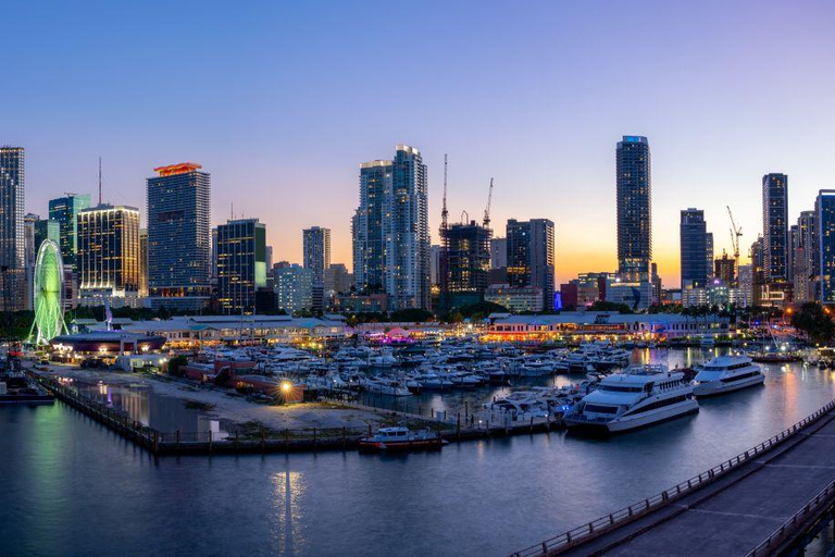 Miami: Private Night Lights Tour