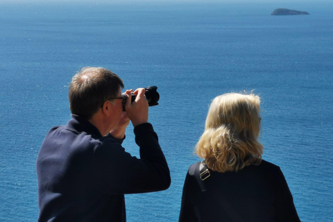 From Naples: Private Tour to Positano, Amalfi, and Ravello