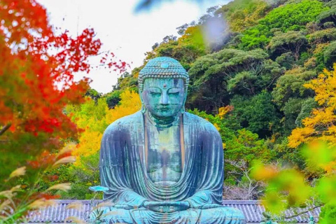 De Tóquio: Kamakura, Santuário Hachimangu e excursão de um dia a EnoshimaVocê será pego na estação de Tóquio Marunouchi às 8:00 da manhã